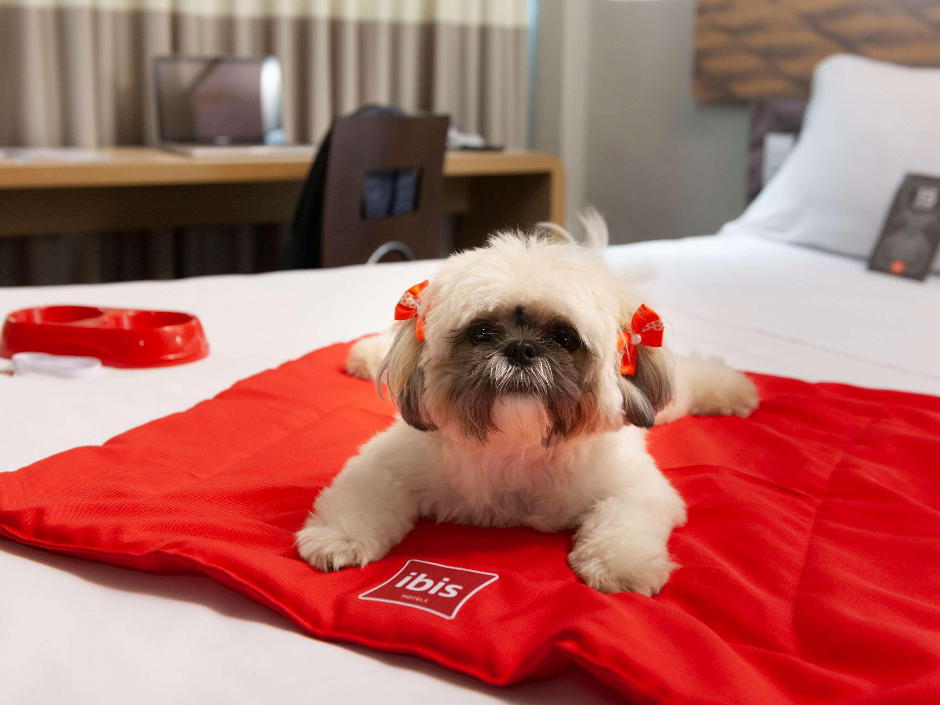 Ibis Teresina Otel Dış mekan fotoğraf