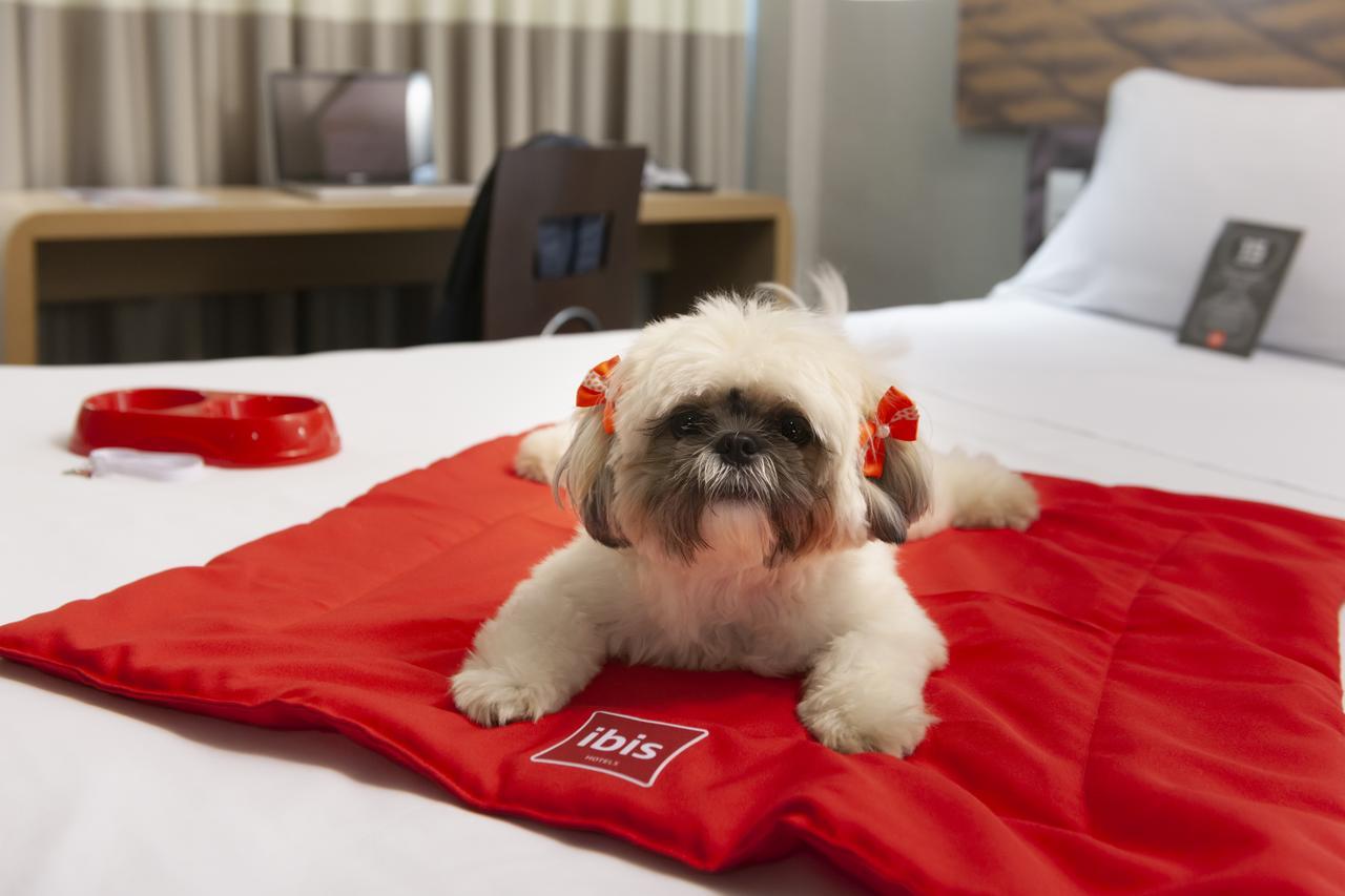 Ibis Teresina Otel Dış mekan fotoğraf